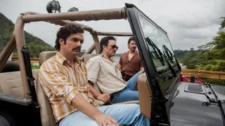 Narcos: Descenso